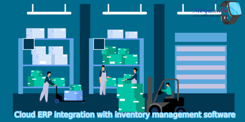 The challenge of Cloud ERP integration with inventory management software