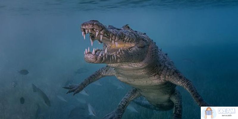 Psychological Interpretations Dreaming About Crocodiles Underwater